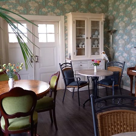 B&B Villa De Beuk Stadskanaal Exteriér fotografie